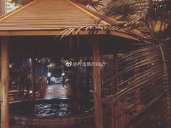 -陆地游轮吉林神农温泉