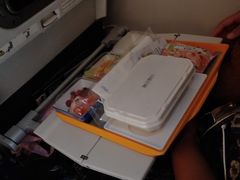 -全日本空输株式会社(上海办事处)