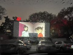 -枫花园汽车电影院(朝阳公园店)