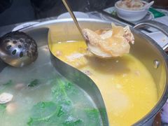-禄婶鸡煲·打边炉