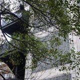 现在也风光不在，湖边的路被拦起来了，在整修