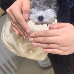 -BELLAREAL新美社