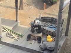 -大连森林动物园