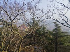 -信号山公园