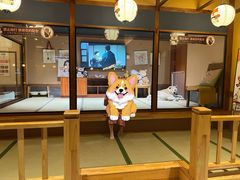 -大江户·温泉洗浴(浑南店)