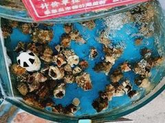 -晓伟海鲜家常菜