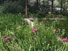 -成都市活水公园