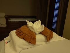 -端艾堂·SPA·艾灸(鸳鸯006店)
