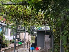 -姥家大锅台水库渔家