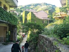 -枸杞岛