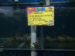 -蚝专家(北滘店)