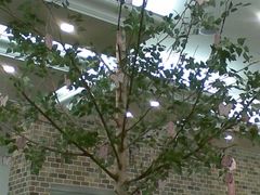 20090124(004)-米斯特比萨(光华桥凯德MALL天津湾店)