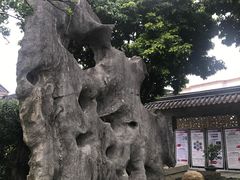 -碧江金楼