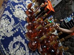 -文成城堡