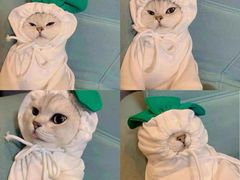 -星巴克(天津工华道智慧山店)