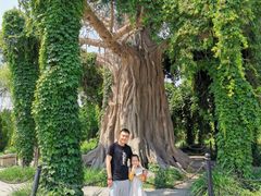 -石家庄市植物园
