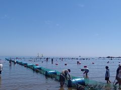 -北戴河东海水浴场