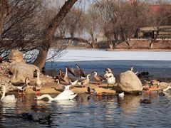 -石家庄市动物园