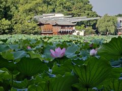 -西湖游船
