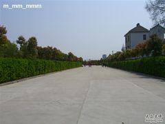 -南汇桃花村