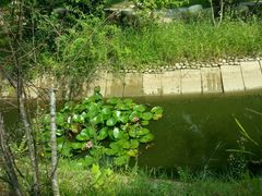 -武汉紫薇都市田园