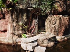 -深圳国际园林花卉博览园