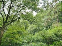 -杭州植物园