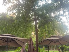 -The place那儿(新城国际店)