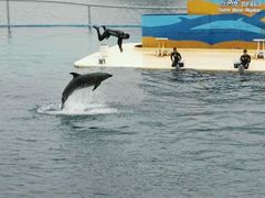 -秦皇岛乐岛海洋王国