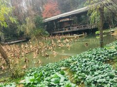 -西院1号(龙井店)