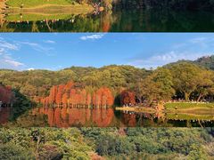 -广州市白云山风景名胜区