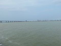 -大湾区中央湿地公园-十九涌