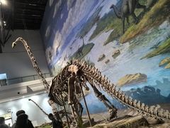 -自贡恐龙博物馆