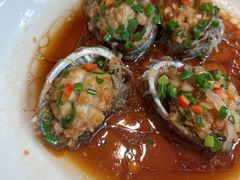 蒜蓉扇贝-阿毛饭店·宁波老字号(儿童公园旗舰店)