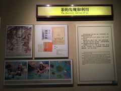 -中国茶叶博物馆(双峰馆区)