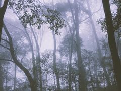 -青城山