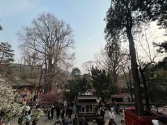-潭柘寺景区