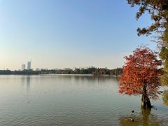 -海珠湖公园