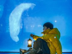 -海合安武汉极地海洋公园