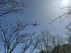 -秦岭终南山世界地质公园翠华山景区