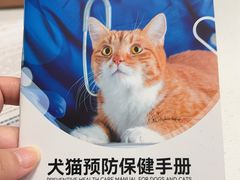 -艾贝尔宠物医院 ·中兽医·宠保定点(北门桥店)