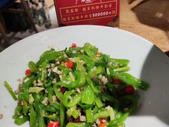 -聚鑫朋酸菜肥肠(文艺路口店)