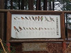 -北海道神宫