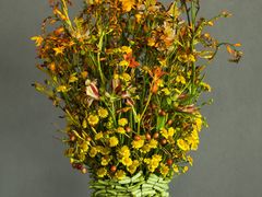 -荷兰布尔玛国际花艺学院