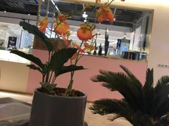 大堂-游You House(西单老佛爷店)