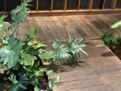 -邈墨茶馆(大兜路1号店)