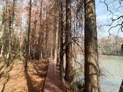 -东湖落雁景区