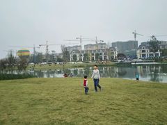 -两河城市森林公园