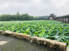 -锦溪古镇
