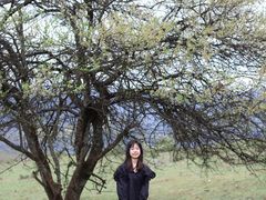 -石棉县孟获城